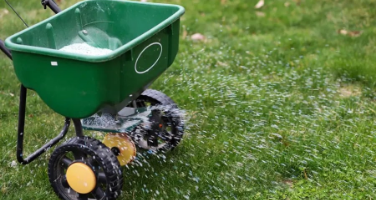 Lawn Services